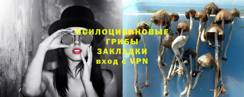 как найти закладки  Микунь  Галлюциногенные грибы MAGIC MUSHROOMS 